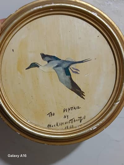 vintage Genuine Auctioned Painting "THE PINTAIL" BY (MACKENZIE THORPE