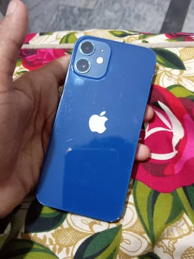 iPhone 12 mini