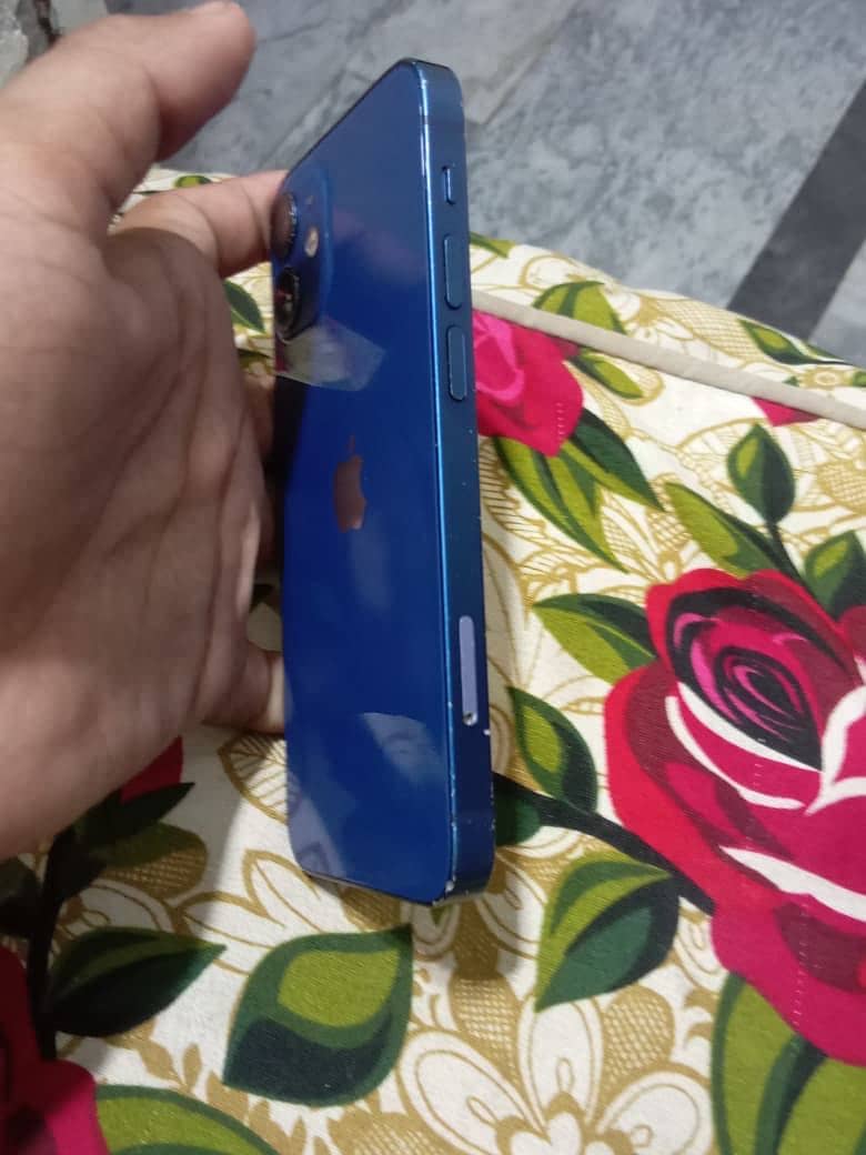 iPhone 12 mini 1