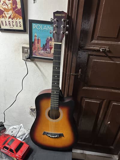 guitar with bag