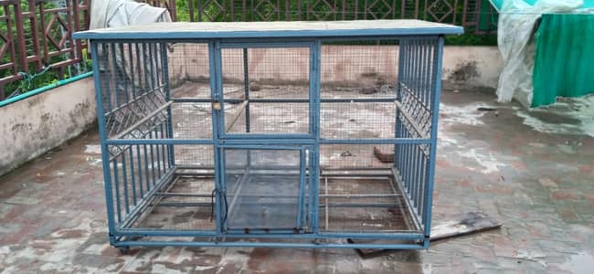 bird cage for sale