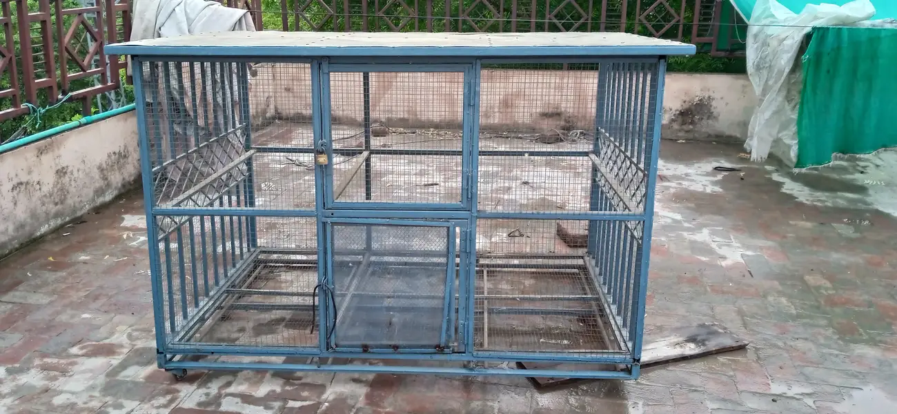 bird cage for sale — photo 2