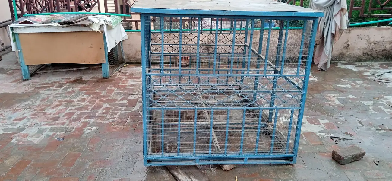 bird cage for sale — photo 3