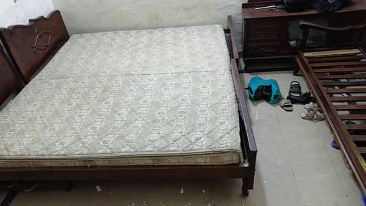 medicated molty mattress tough