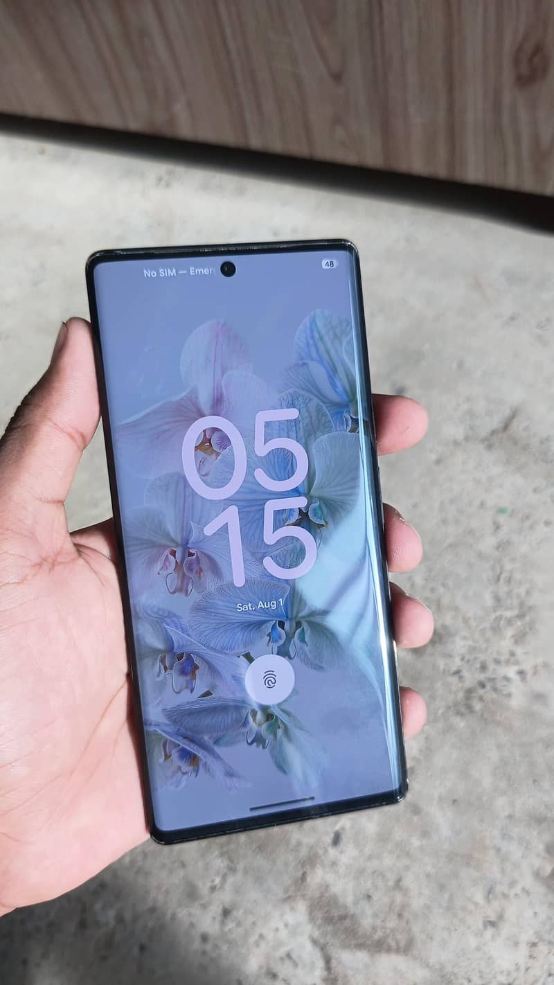 Google Pixel 6 Pro 1