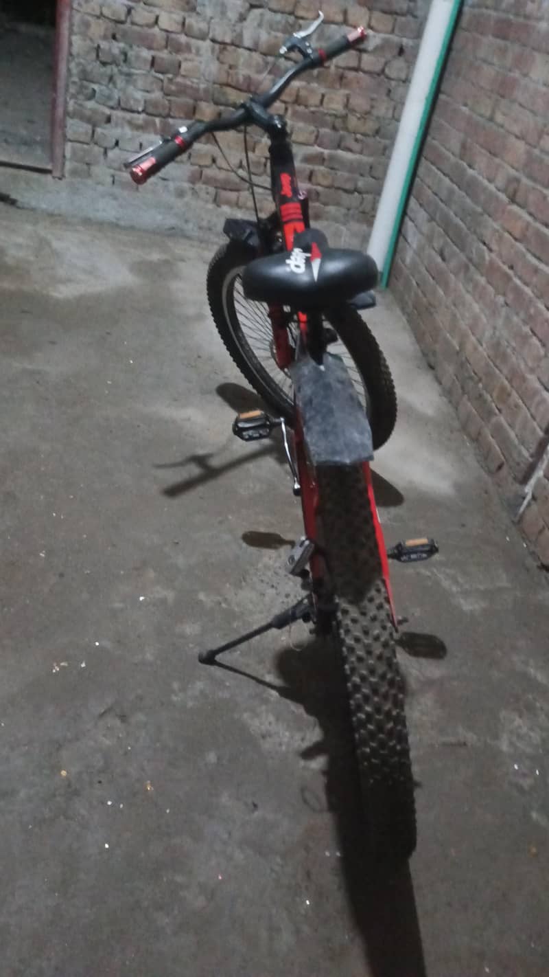 bicycle 2