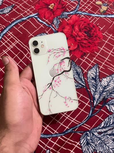 Apple iPhone 12 finle ha no bahas