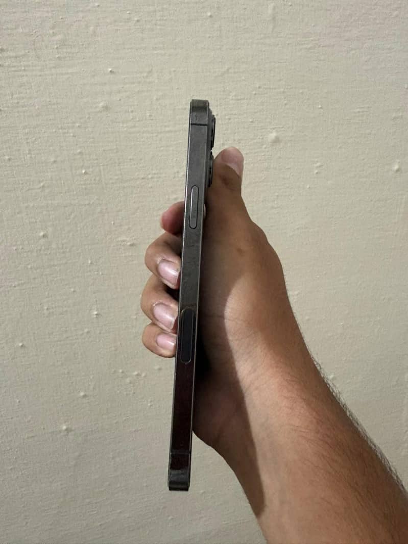 Apple iPhone 13 Pro Max 2