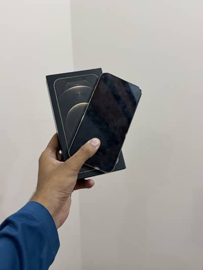 iPhone 12 Pro Max PTA Approved