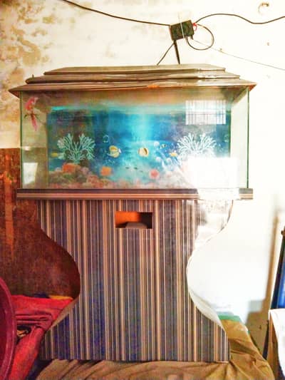 Aquarium