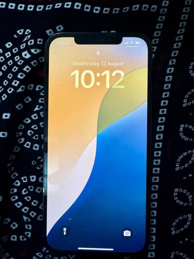 Apple iPhone 12 Pro Max