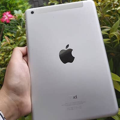 i pad mini 1 bypass
