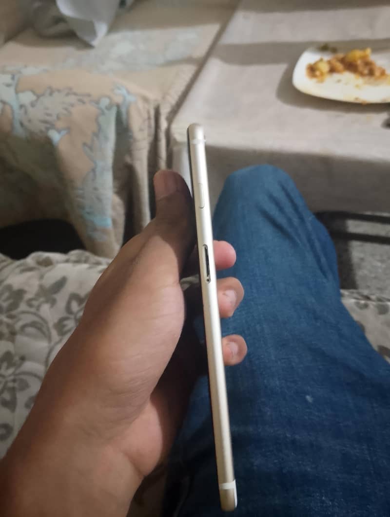 Apple iPhone 6 Plus 1