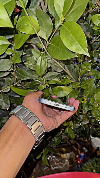 Apple iPhone 17