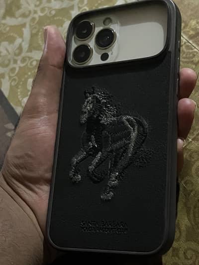 iPhone 13 Pro Max original panal