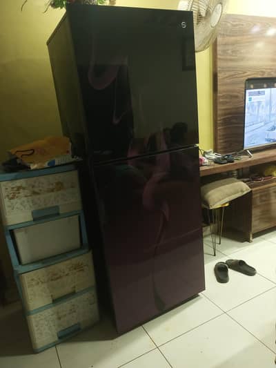 PEL JUMBO 20 CUFT REFRIGERATOR SHINES LIKE NEW