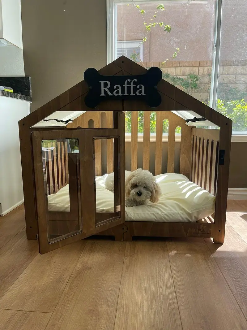 All breed dog house on order available shihtzu puppies also available — photo 2