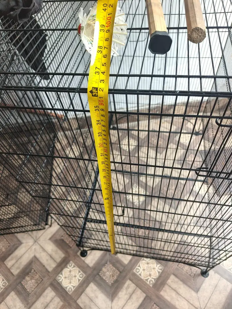 Two cage for sale — photo 3