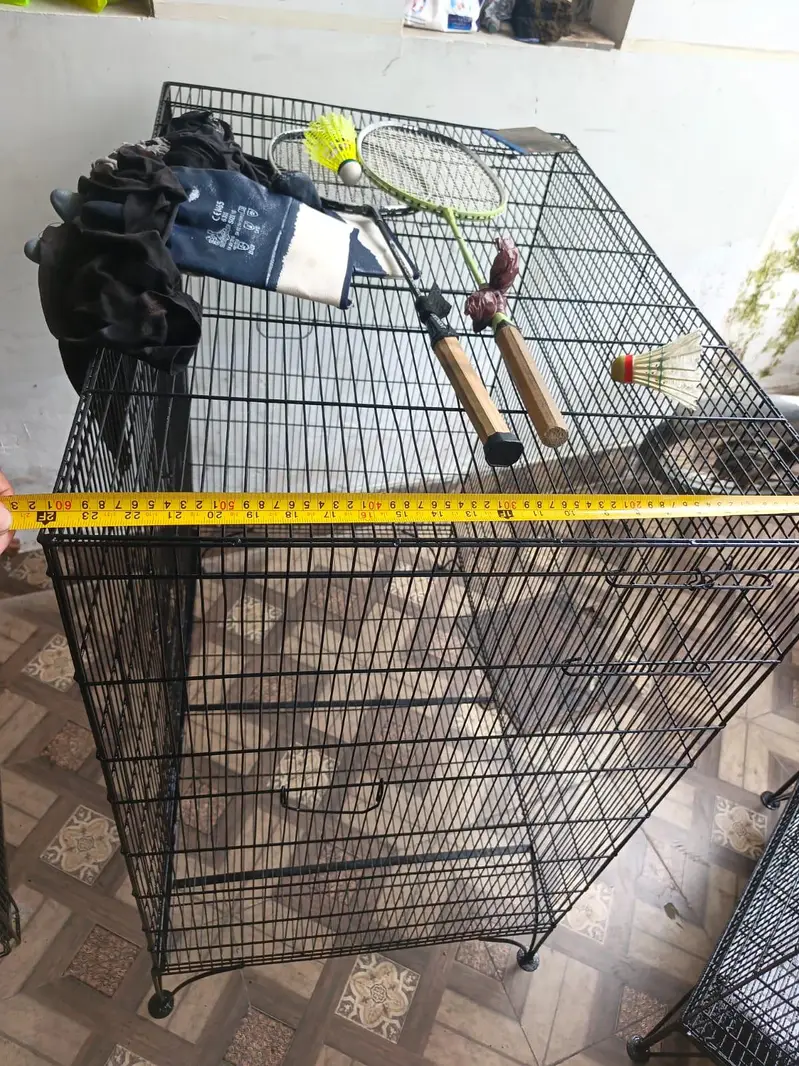 Two cage for sale — photo 4