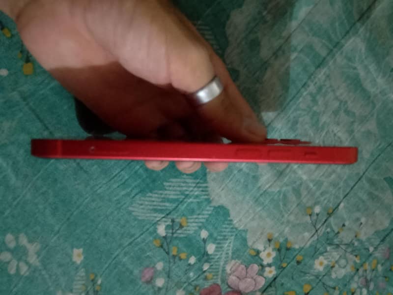 Apple iPhone 12 1