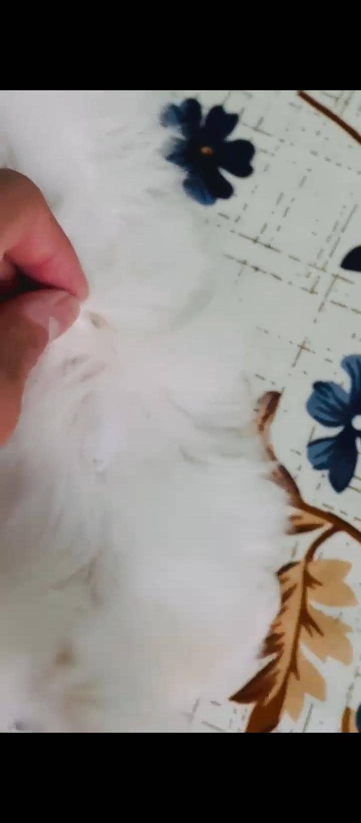 baby's 5