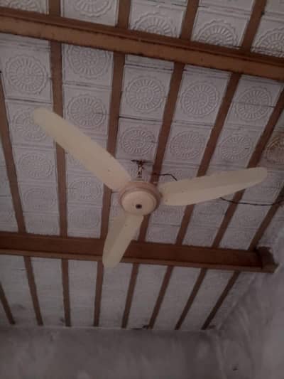 FAN FOR SALE