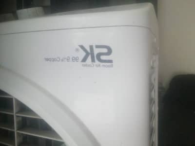Air cooler