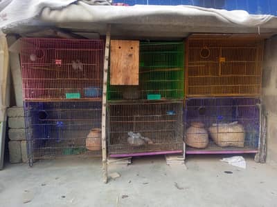 6 folding cages available