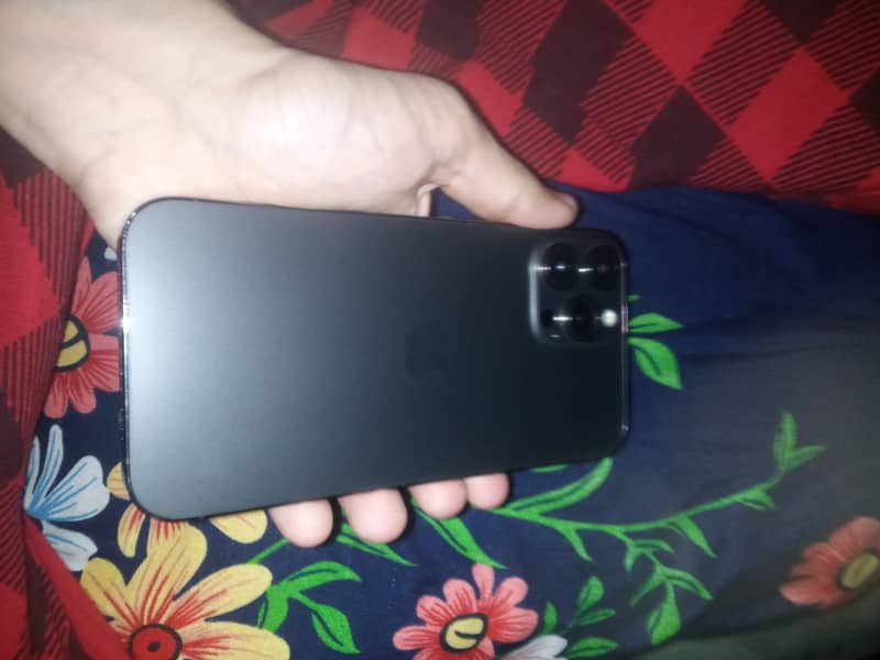 Apple iPhone 13 Pro Max 1