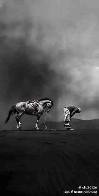 Haseeb khan 