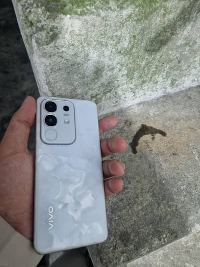 Vivo Y29