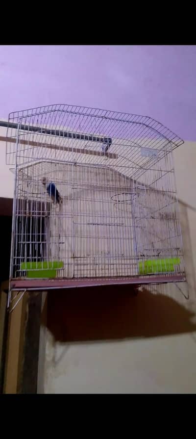female active Sath pinjara b h