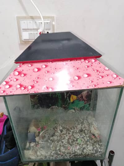 Aquarium
