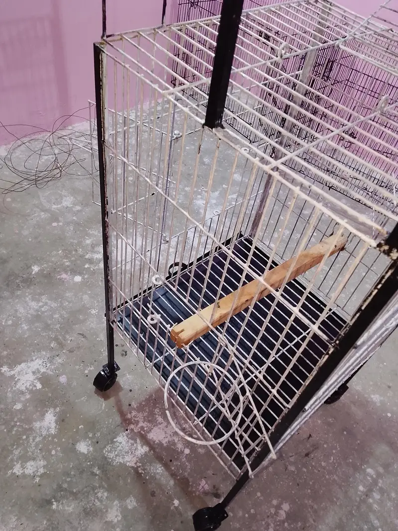 Big Parrot trolley cage — photo 3