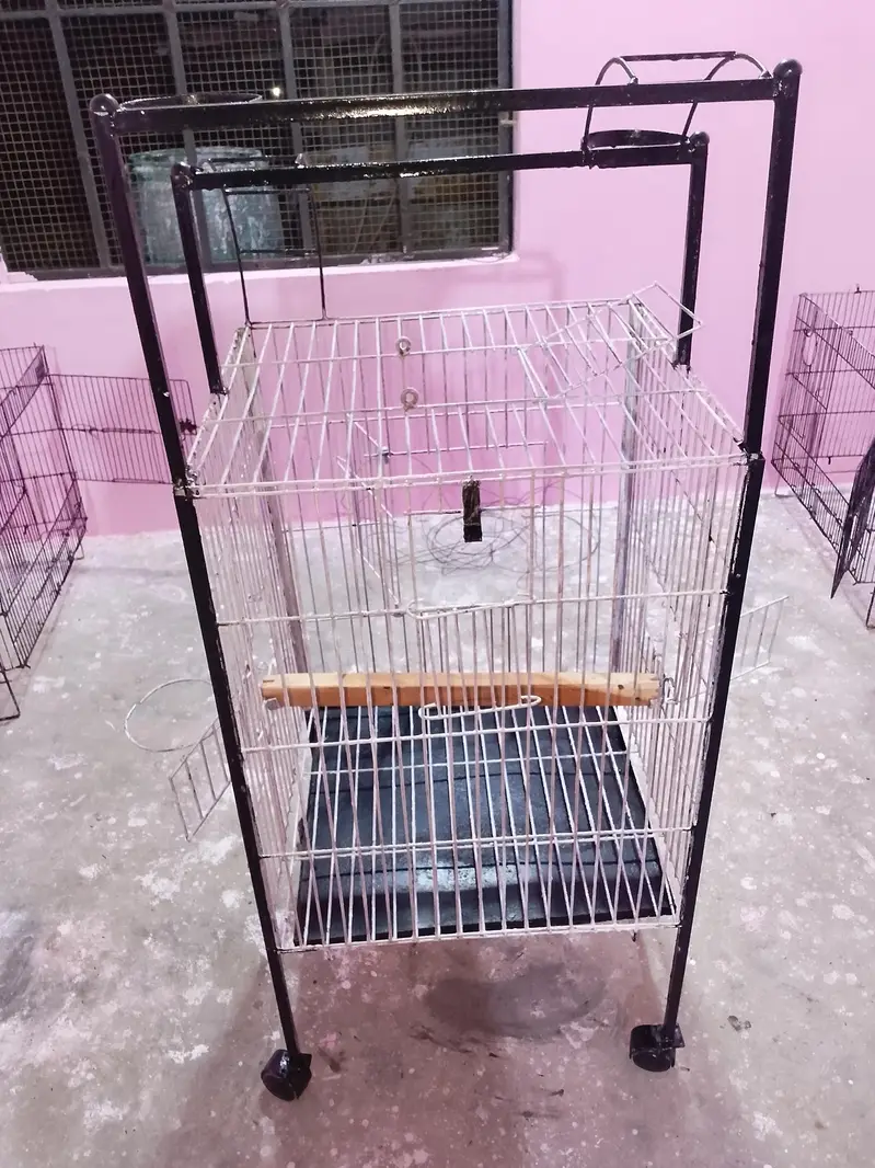 Big Parrot trolley cage — photo 6