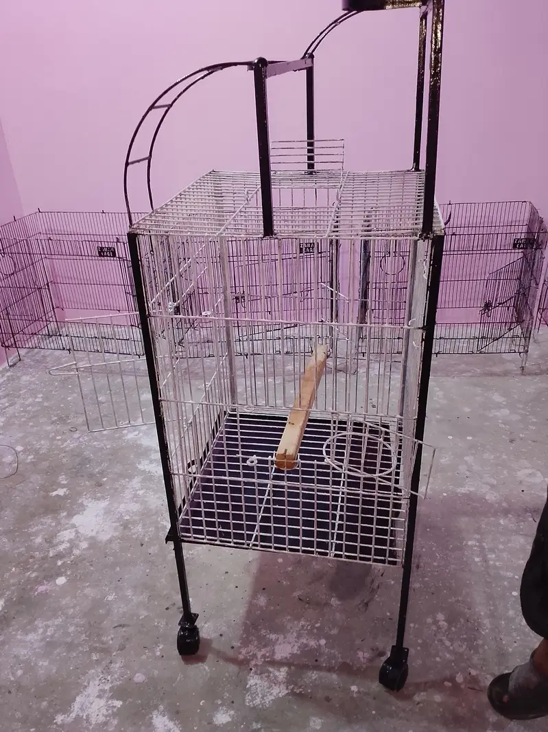 Big Parrot trolley cage — photo 7