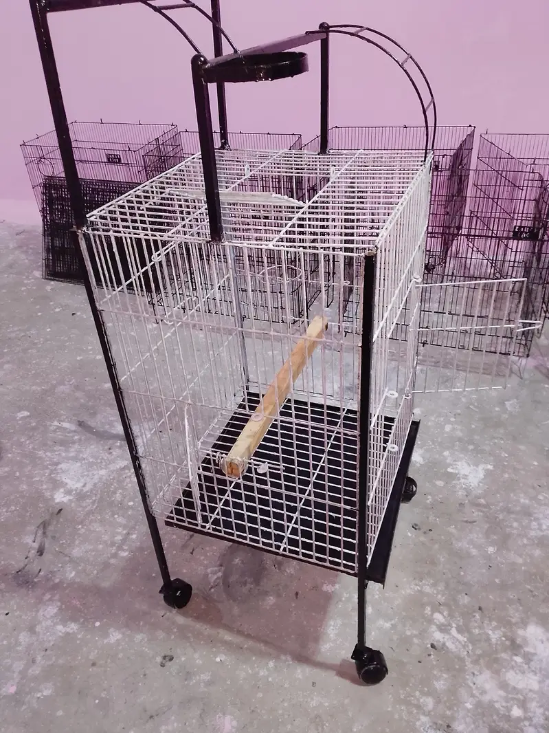 Big Parrot trolley cage — photo 8
