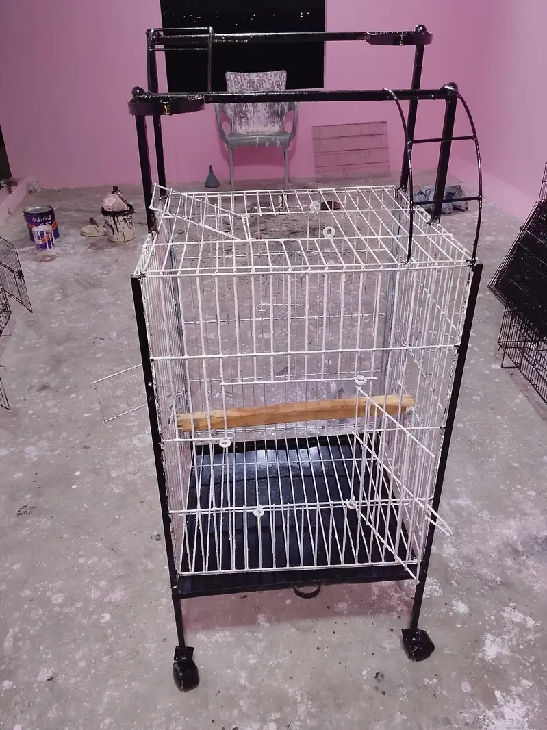 Big Parrot trolley cage — photo 9