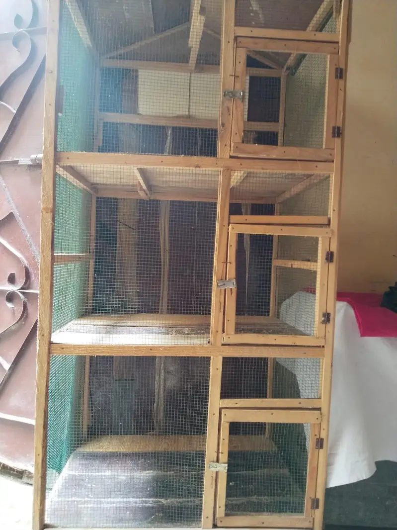 3 portion cage for sale — photo 4