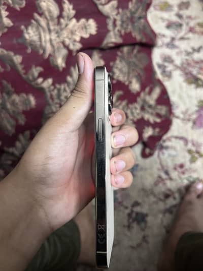 Apple iPhone 14 Pro Max (Factory unlock)
