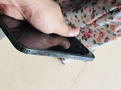 Apple iPhone 13 Pro Max jv