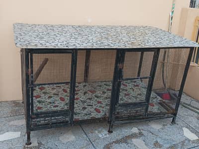 new condition