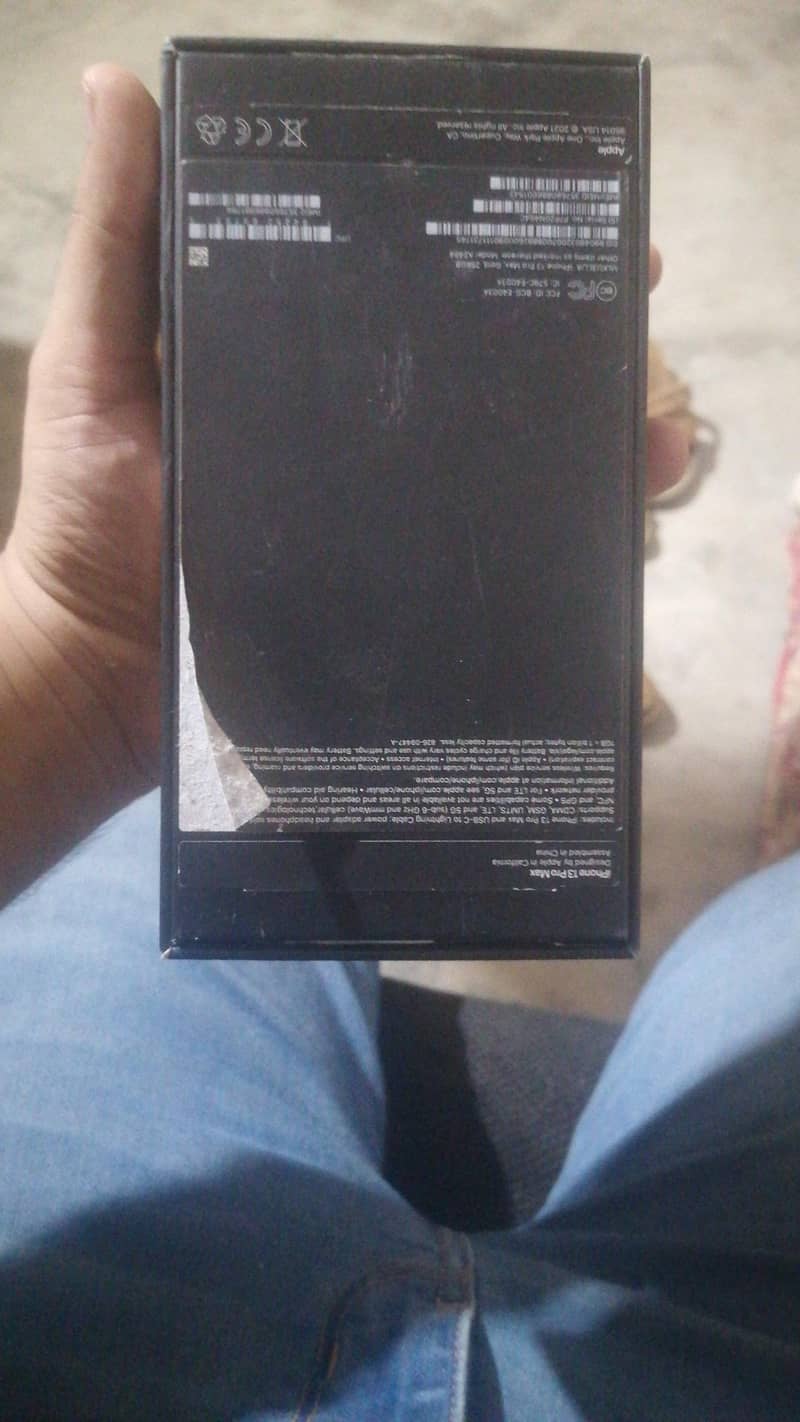 IPhone 13 Pro Max 1