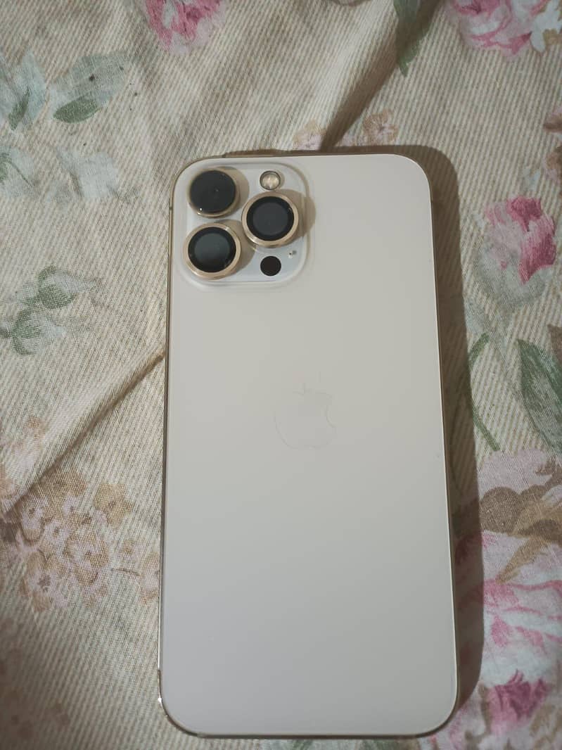 IPhone 13 Pro Max 2