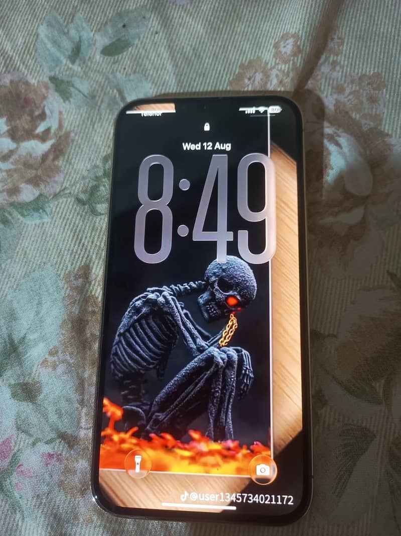 IPhone 13 Pro Max 4