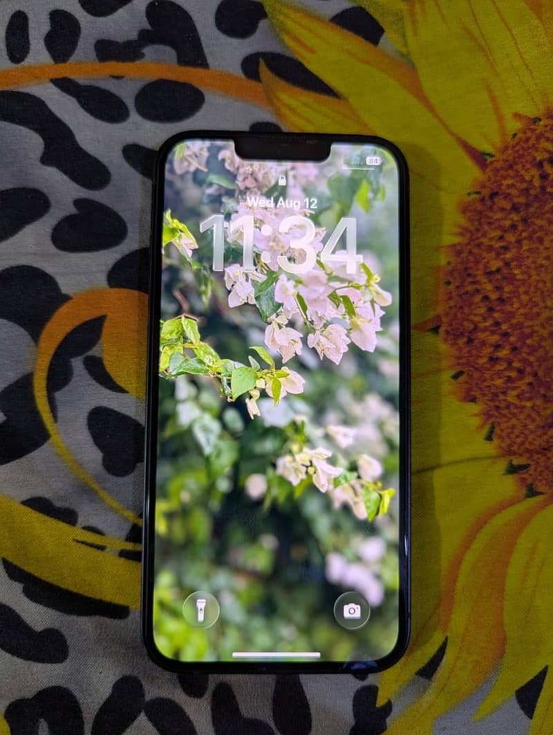 Apple iPhone 13 0
