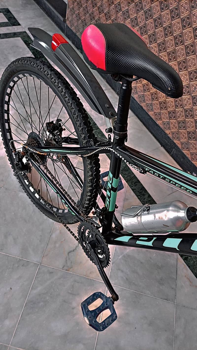 Bicycle 10
