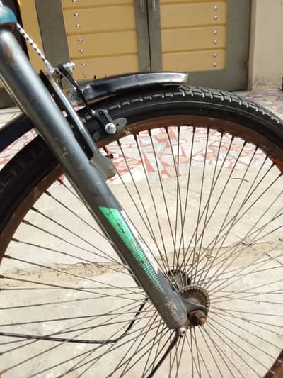 Hilux cycle all oky