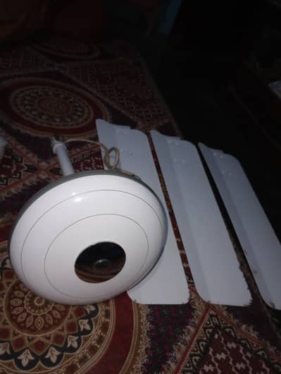 Royal Super Deluxe 56 size 220 volt new condition
