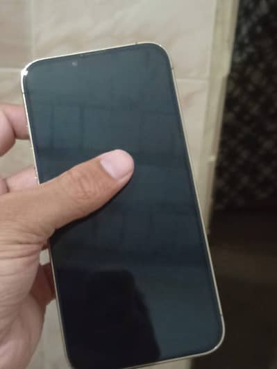Apple iPhone 13 Pro